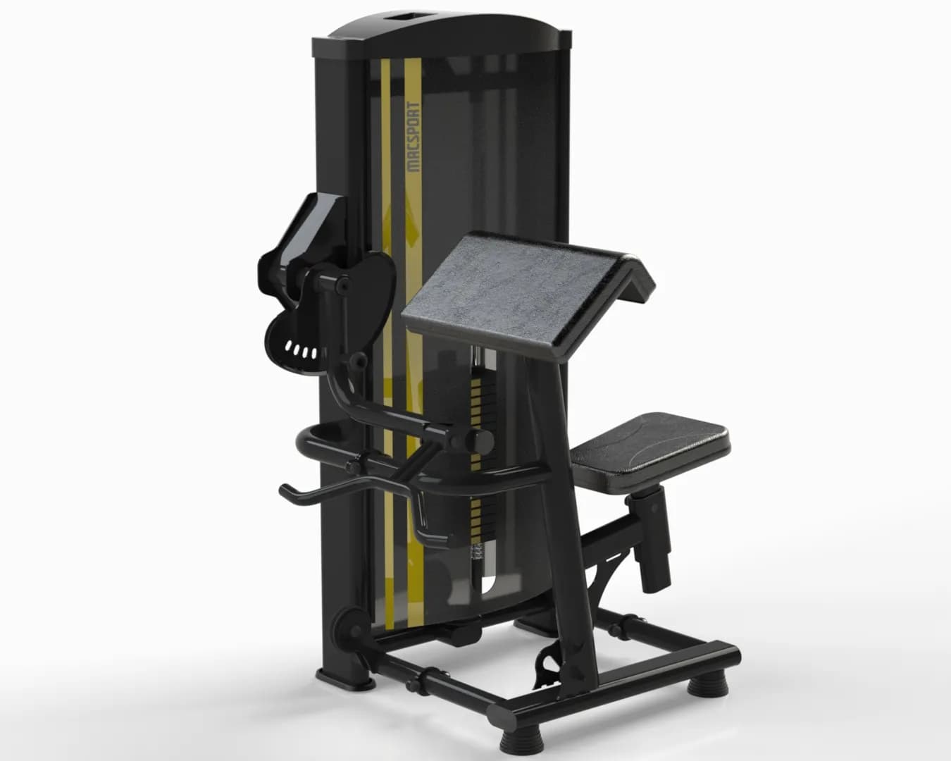 Bíceps Máquina (80 KG)