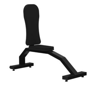Banco Triceps (90º)
